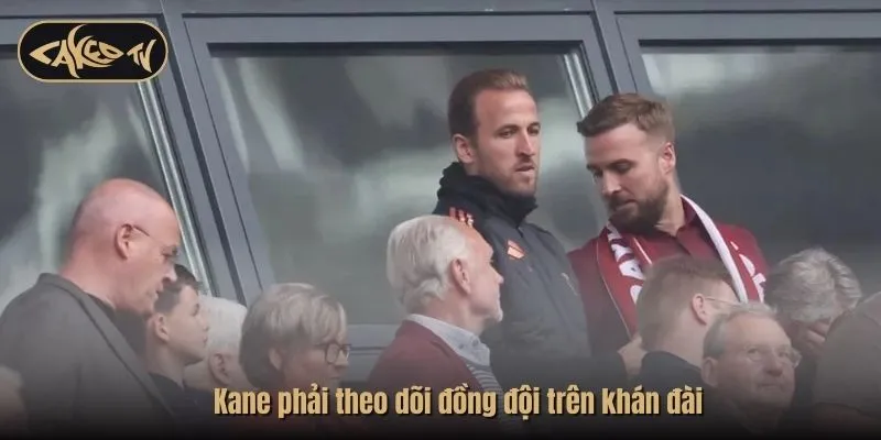 Kane phải theo dõi đồng đội trên khán đài